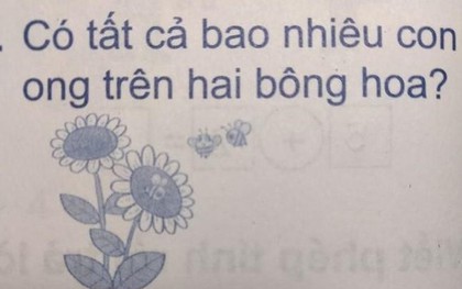 Học sinh Tiểu học đặt phép tính "1+0=1", tưởng "rõ như ban ngày" nhưng vẫn gây tranh cãi