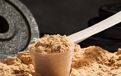 Cẩn thận với bột Whey chứa chất tăng cơ cho lợn, bò