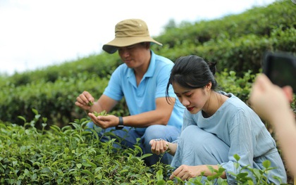 Phát triển du lịch nông thôn gắn với phát huy tiềm năng, lợi thế về nông nghiệp, làng nghề