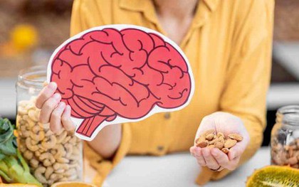 5 loại thực phẩm đặc biệt tốt giúp tăng cường trí nhớ lại ngăn ngừa lão hóa não
