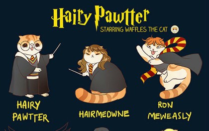 Khi các nhân vật nổi tiếng biến hóa thành mèo ú: Harry Potter hay công chúa Disney đều dễ thương miễn bàn