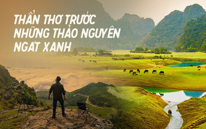 Những "miền thảo nguyên xanh" ở Việt Nam khiến du khách lưu luyến từ cái nhìn đầu tiên