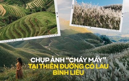 Chinh phục “miền cổ tích" Bình Liêu đẹp ngất ngây với mùa cỏ lau và lúa chín phủ kín