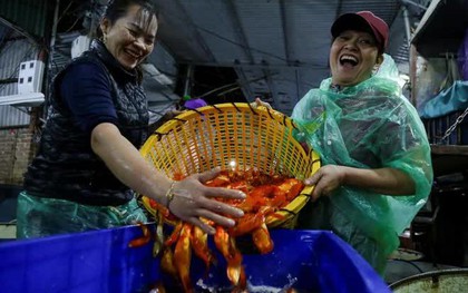 Chợ cá lớn nhất Hà Nội nhộn nhịp trước ngày đưa ông Công ông Táo về trời