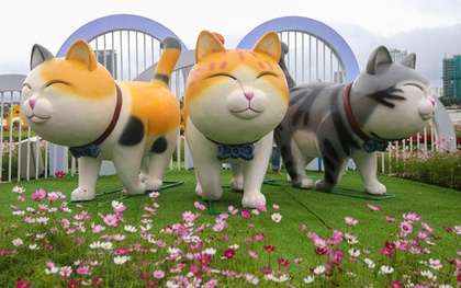 Lộ diện đàn linh vật mèo đủ biểu cảm tại đường hoa Xuân Đà Nẵng