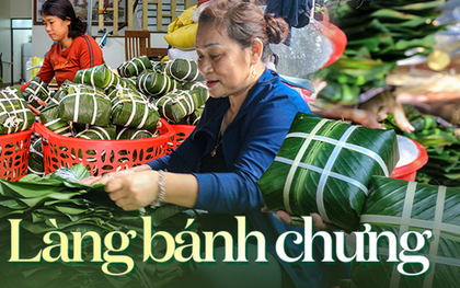 Làng bánh chưng Tranh Khúc tất bật vụ Tết, có gia đình truyền đời nhau qua 4 thế hệ