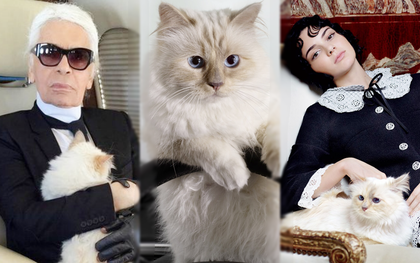 Cô mèo sướng nhất làng thời trang: Được cố NTK Karl Lagerfeld "nâng như nâng trứng", thậm chí sở hữu gia tài 13 triệu đô