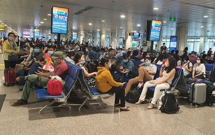 Nhiều gia đình tự lái ô tô về quê vì vé máy bay Tết khan hiếm