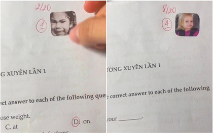 Khi Gen Z đi dạy tiếng Anh, đến lời phê cũng độc lạ khiến học trò: "Ủa, alo cô ơi?!"