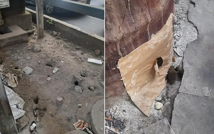 Ấn Độ: Hàng ngàn con chuột hoành hành, ngang nhiên gặm tay chân người