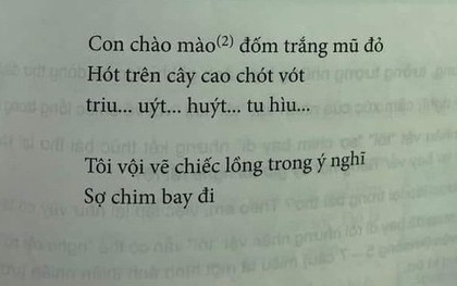 Thêm một bài thơ trong SGK lớp 6 trở thành tâm điểm tranh cãi: "Triu… uýt… huýt… tu hìu…" là gì?