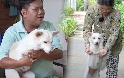 Cứu chú cún kỳ lạ bị bỏ rơi ven đường, 2 năm sau vợ chồng chạy xe ôm bỗng đổi đời