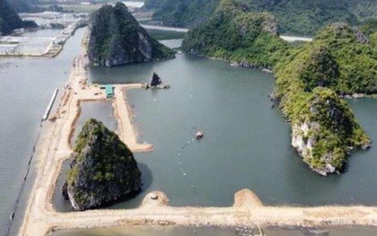Bộ TN-MT lên tiếng vụ vùng đệm vịnh Hạ Long bị san lấp làm khu đô thị