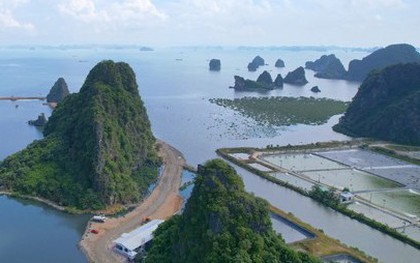 Cục trưởng Cục Di sản văn hóa lên tiếng vụ lấp vùng đệm vịnh Hạ Long làm biệt thự