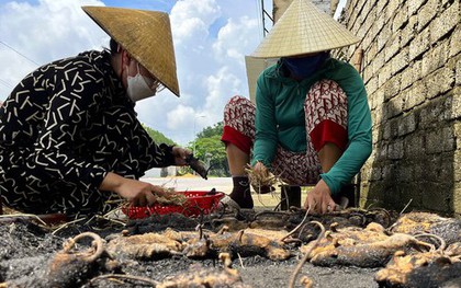 Chợ chuột lớn nhất Nghệ An, mỗi ngày tiêu thụ cả tấn