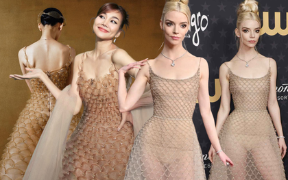 Chiếc váy từng giúp Thanh Hằng nhận cơn mưa lời khen ở The New Mentor bỗng bị tố đạo váy Dior?