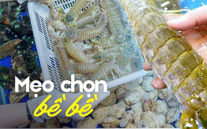 4 chỗ cần xem ngay khi mua bề bề, chọn nhầm có thể mua phải "vỏ rỗng"