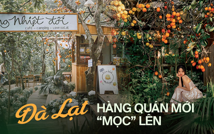 Giữa cảnh hàng quán Đà Lạt phải sang nhượng, vẫn có quán mới "mọc" lên: Làm sao để có thể "sinh tồn"?