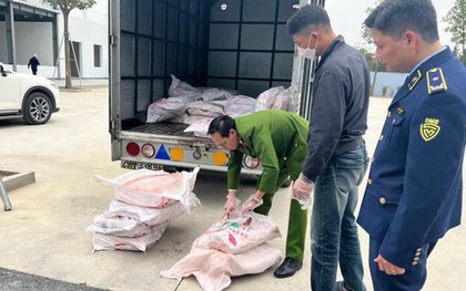 Hà Nội: Thu giữ gần 1 tấn nầm lợn hư hỏng