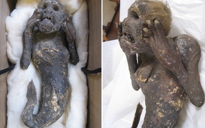 Bí mật về xác ướp “nàng tiên cá” được tôn thờ 300 năm ở Nhật Bản cuối cùng cũng được giải mã: Sự thật vô cùng gây sốc