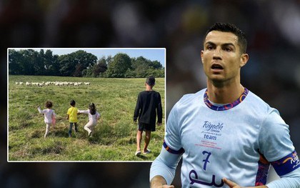 Bị dê "xâm chiếm", Ronaldo đành bán biệt thự 150 tỷ