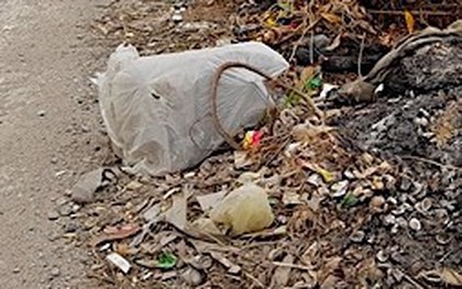 Thi thể người phụ nữ nghi bị sát hại chôn dưới bãi rác ở biên giới Long An