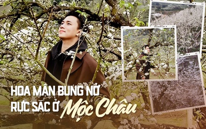 Mộc Châu trở thành điểm siêu hot dịp đầu xuân với những cây hoa mận phủ trắng núi đồi