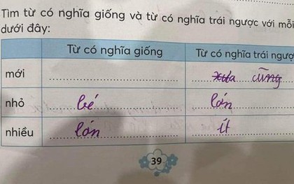 Đồng nghĩa với "mới" là gì? Cô giáo trả lời 2 từ khiến phụ huynh tranh cãi dữ dội