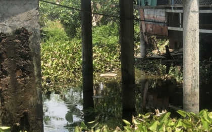 Dùng điện chích cá, người đàn ông tử vong dưới ao