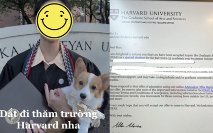 Xôn xao một nữ TikToker Việt bị tố "sống ảo", thân phận sinh viên Y Harvard cùng suất học bổng toàn phần chỉ là "cú lừa"
