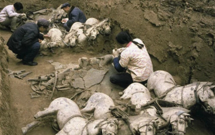 Những bộ xương kỳ lạ trong lăng Tần Thủy Hoàng: Loài vật cũng bị tuẫn táng