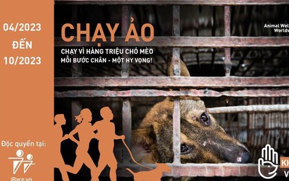 Phát động giải chạy trực tuyến nhằm chấm dứt tình trạng buôn bán thịt chó, mèo