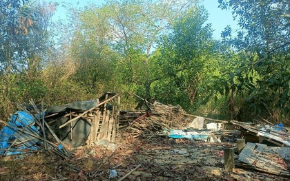 Đồng Nai: Voi rừng xuất hiện tấn công người dân