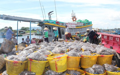 Bà Rịa - Vũng Tàu: 2 thuyền viên tử vong nghi do ngộ độc khí hầm cá
