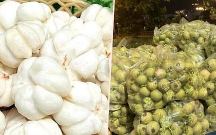 Măng cụt xanh đội giá hơn nửa triệu đồng/kg nhờ món gỏi nộm “sốt xình xịch”
