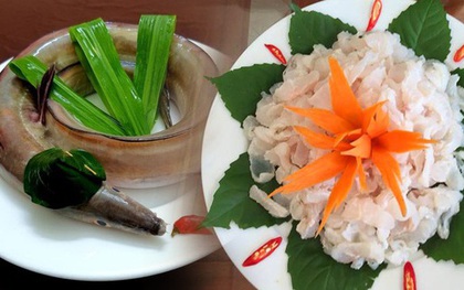 Thưởng thức gỏi cá nức tiếng, đặc sản hút khách ở biển xứ Thanh