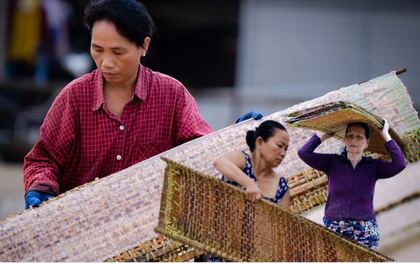 Về An Thái ăn bún song thằn "tiến vua"