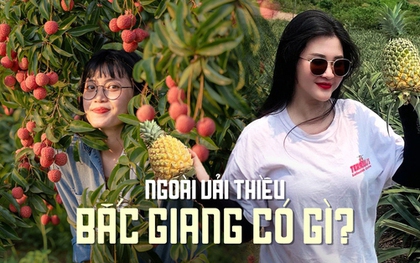 Một nơi được mệnh danh "vựa trái cây" miền Bắc, chỉ tốn 3 tiếng đi từ Hà Nội, thích hợp đưa gia đình đi vào mùa hè này