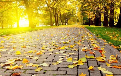 Câu đố tiếng Việt: Tại sao lại nói là "ngàn thu" mà không phải "ngàn đông", "ngàn xuân"?