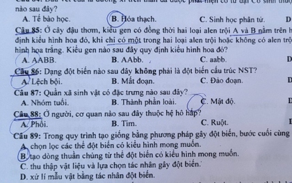 Đề thi Sinh học kỳ thi tốt nghiệp THPT 2023