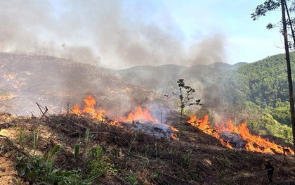 Cháy rừng, hai người tử vong