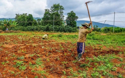 Bỏ hơn 2 USD thuê mảnh đất hoang, người đàn ông đổi đời chỉ sau một đêm