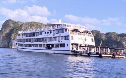 Phát hiện tàu du lịch 5 sao cho khách "tắm chui" trên vịnh Hạ Long
