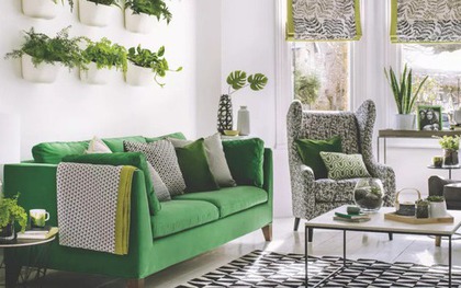 Cải thiện không gian phòng khách trong lành, tươi mát với những ý tưởng trồng cây xanh