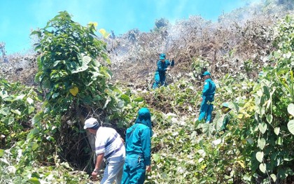 Cháy rừng Hải Vân giữa trời nắng nóng, hơn 150 người nỗ lực dập lửa