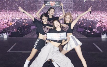 Concert BLACKPINK sắp diễn mà từ điển thuật ngữ "đu idol" còn rỗng các từ này thì độ nhiệt giảm 50%!