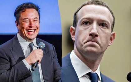 Tỷ phú Elon Musk thừa nhận chỉ đùa khi nói muốn đấu lồng với Mark Zuckerberg
