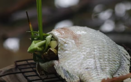 Người phụ nữ bị cắt cụt tứ chi sau khi ăn cá nhiễm vi khuẩn