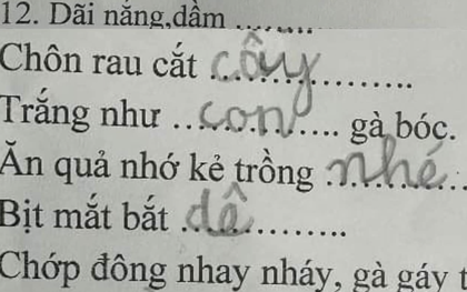 Bài kiểm tra tiếng Việt lớp 1 khiến người lớn ngậm ngùi "khó phết", đọc câu trả lời của học trò mà cười ngất