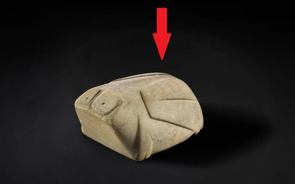 “Cục đá” kỳ dị 3.000 năm tuổi ở Trung Quốc được bán với giá hơn 29 tỷ đồng